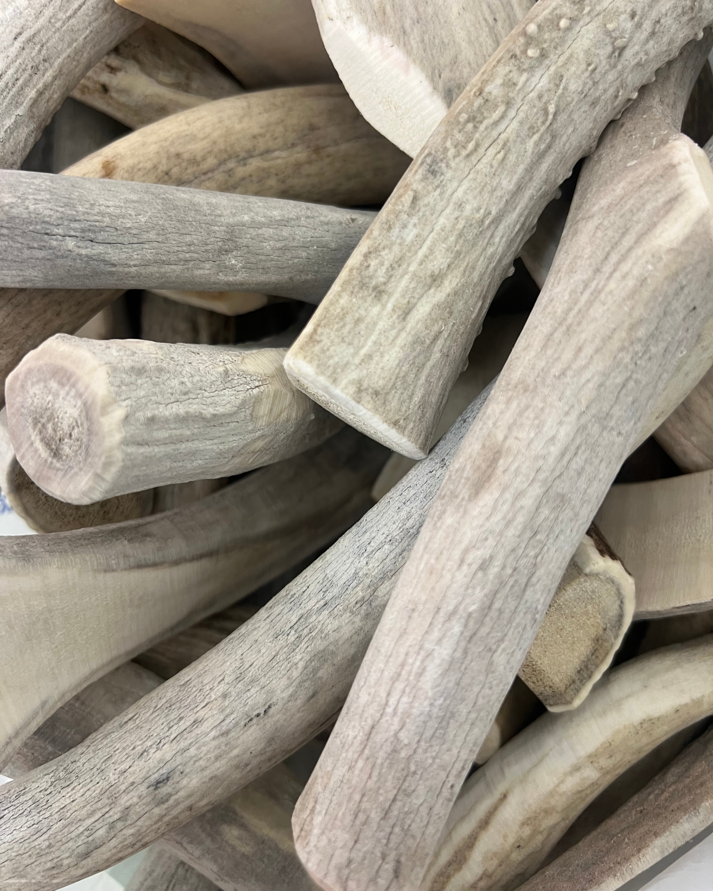 Antler Dog Chews