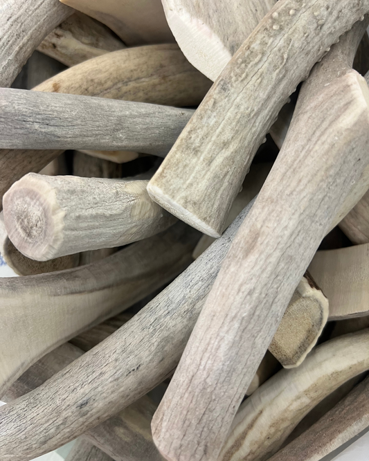 Antler Dog Chews