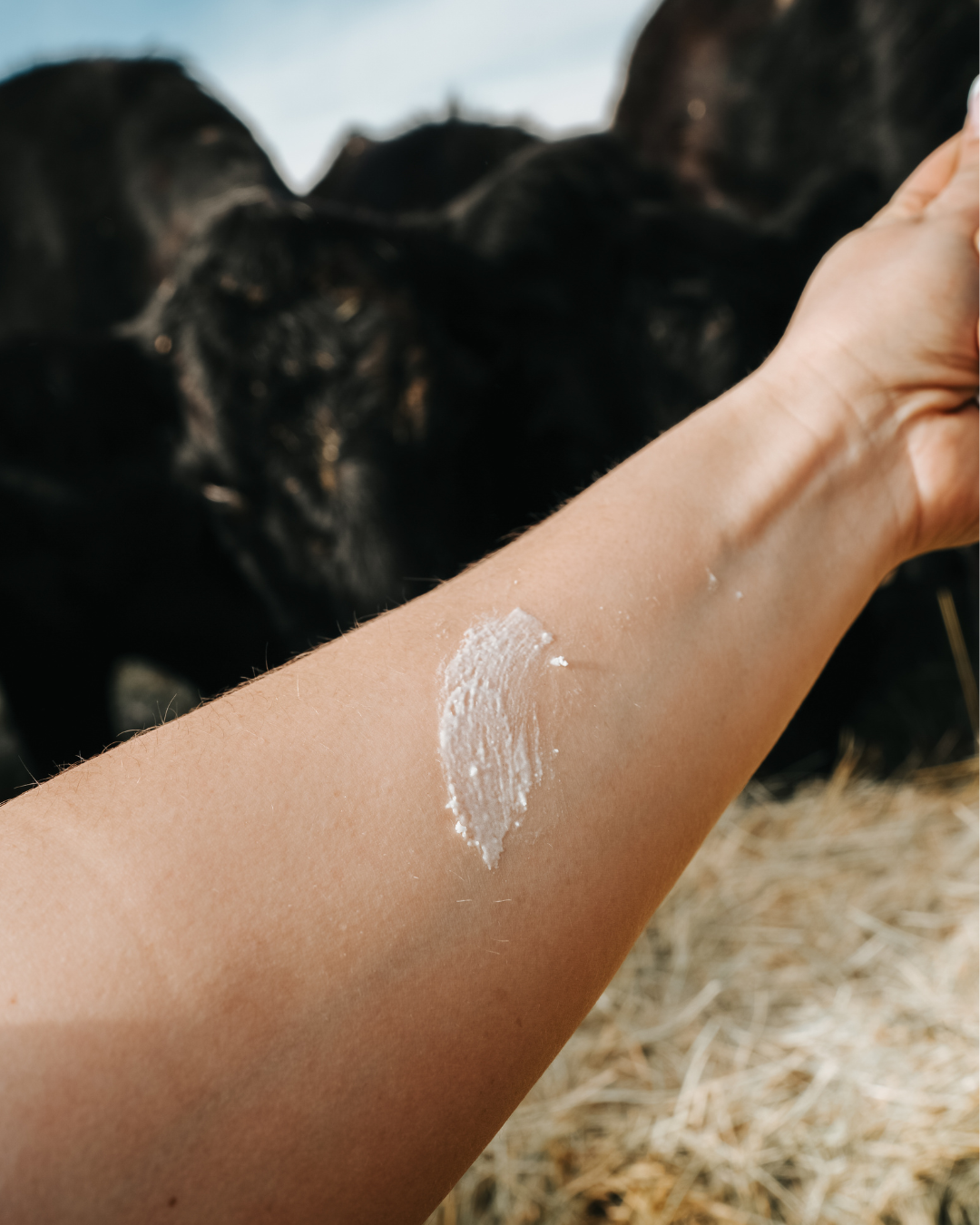 Unscented Tallow Facial Moisturizer